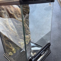 エキゾテラ 爬虫類 両生類  ゲージ 水槽 飼育容器の画像