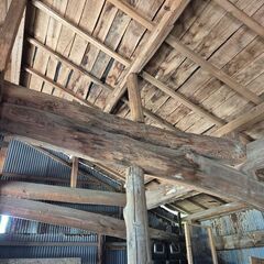 牛小屋のはしらお手伝い