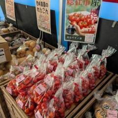【野菜袋詰】【短時間】真備総社倉敷エリアの方