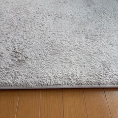 ニトリ　ラグの画像