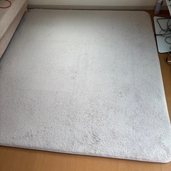 ニトリ　ラグの画像