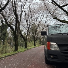レア　アメリカン　カスタム　キャンプ　