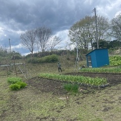 八戸是川こどもの国近辺にある土地売ります。の画像