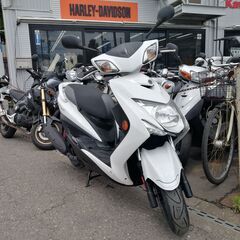 シグナスX 3型　実走行 9147km 白