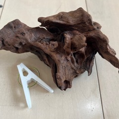 流木