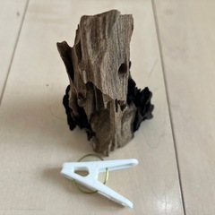 流木