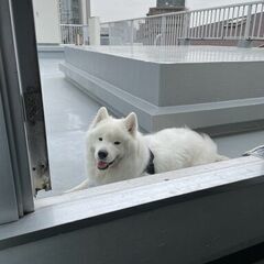次世代ラック屋💖平成生まれ募集中⭐️20代活躍中だワン🐶✨必要なのは車免許だけ🔰新スタート応援します💫残り募集枠少なくなってきています！の画像