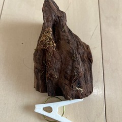 流木