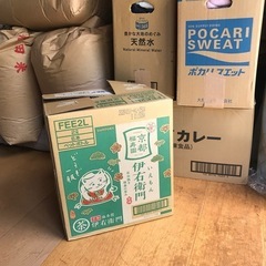 子供服　女の子の画像
