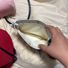 シマエナガ𓅫⸒⸒ポーチバッグの画像