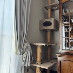 キャットタワーの画像