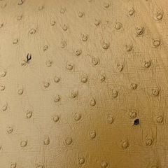 ダイニングチェア、椅子　7脚　お譲りします。の画像