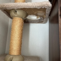 キャットタワーの画像