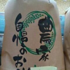 新米　10kg