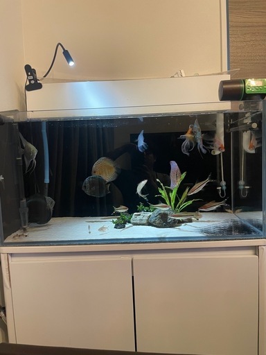 淡水水槽セット 出品します【90×45×45】