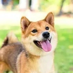 何でも手伝いますレンタル名古屋人