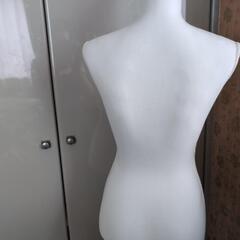 美品　トルソー　レディース普通サイズの画像