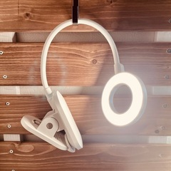 フィリップスのLEDクリップ式ライト💡ˊ˗