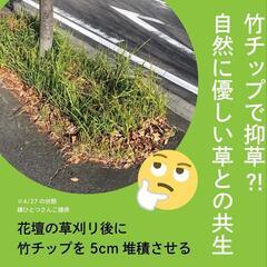 雑草対策