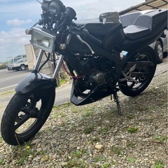 TZR50Rの画像