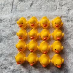 アヒル　小の画像
