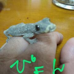 見てたら