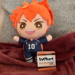 ハイキュー　日向