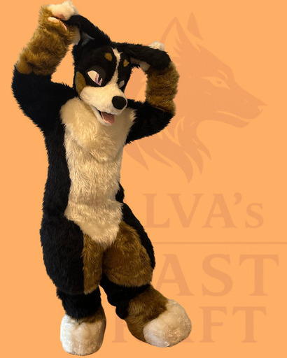 バーニーズマウンテン　ケモノ　着ぐるみ