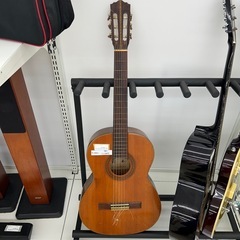 アコースティックギター TJ12475