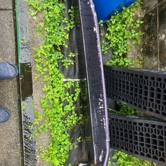 ハイジェットトラックジャンボ用200系後期の画像