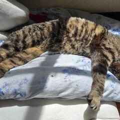 余生を幸せにして欲しい