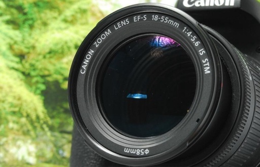 ✨STMレンズセットで素早いフォーカス✨Canon Kiss X9i✨反転液晶✨ ✨STMレンズセットで素早いフォーカス✨Canon Kiss X9i✨反転液晶✨の