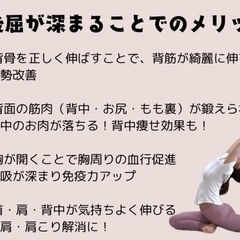 【藤沢市(湘南台駅エリア)】後屈ブリッジヨガレッスン開催！マンツーマン・パーソナル指導で柔軟性・筋力アップ！の画像