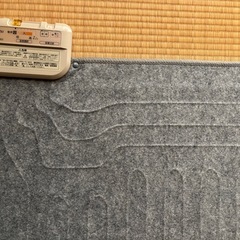 ホカホカカーペットの画像