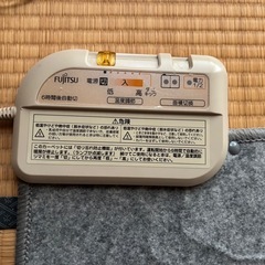 ホカホカカーペットの画像