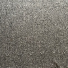 ホカホカカーペットの画像