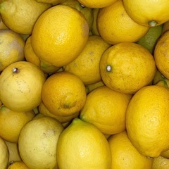 農薬不使用レモン🍋 / 20個【数量限定】