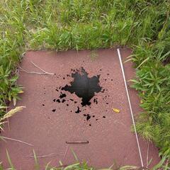 庭の穴埋め手伝って下さい