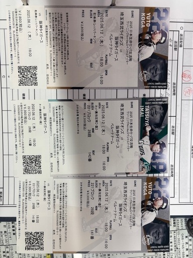 6/12交流戦西武vs阪神ネット裏指定席１塁側