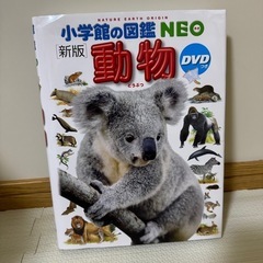 小学館 図鑑 動物