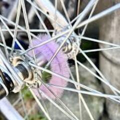三優商会☆自転車 ハブ毛 ピンク２本（前後）の画像
