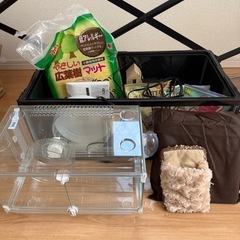 ハムスター　飼育セット　3500