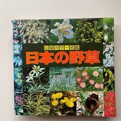 日本の野草 山と渓谷社
