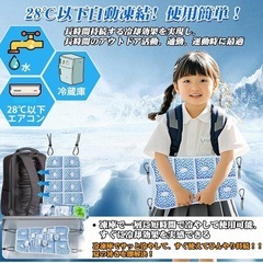 新品未開封 冷却パッド 熱中症対策 リュック用冷感パッド リュック 背中 汗対策 【ひんやり 28℃自然凍結】 暑さ対策グッズ PCM材質 背中冷却パッド リュック背中保冷剤 背中涼しくなる クール 蒸れ防止 結露しない 繰り返し使える 折り畳み可能 室内屋外適用 ランドセル/ヘビーカー/オフェス/車内シート 軽量 取り付け簡単 きれい 子供通学用に最適の画像
