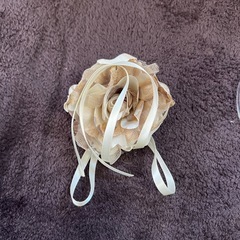 ワンピースの画像