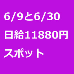 【スポット案件/大募集】【日給11880円】神奈川県横浜市 / ...