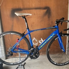 ペンナローラ　フルカーボン　105 完成車