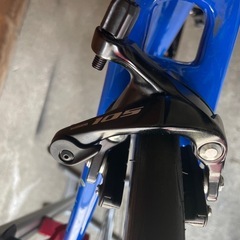 ペンナローラ　フルカーボン　105 完成車の画像
