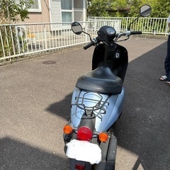 ホンダ　トゥディ　彼らは本当に美しいですの画像