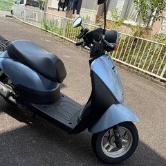 ホンダ　トゥディ　彼らは本当に美しいですの画像